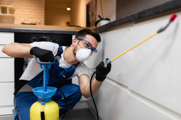 Best Exterminator Services  in Meggett, SC