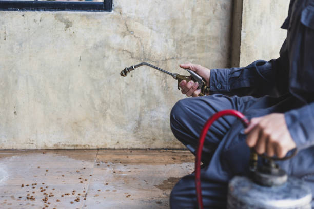Best Exterminator Services  in Meggett, SC